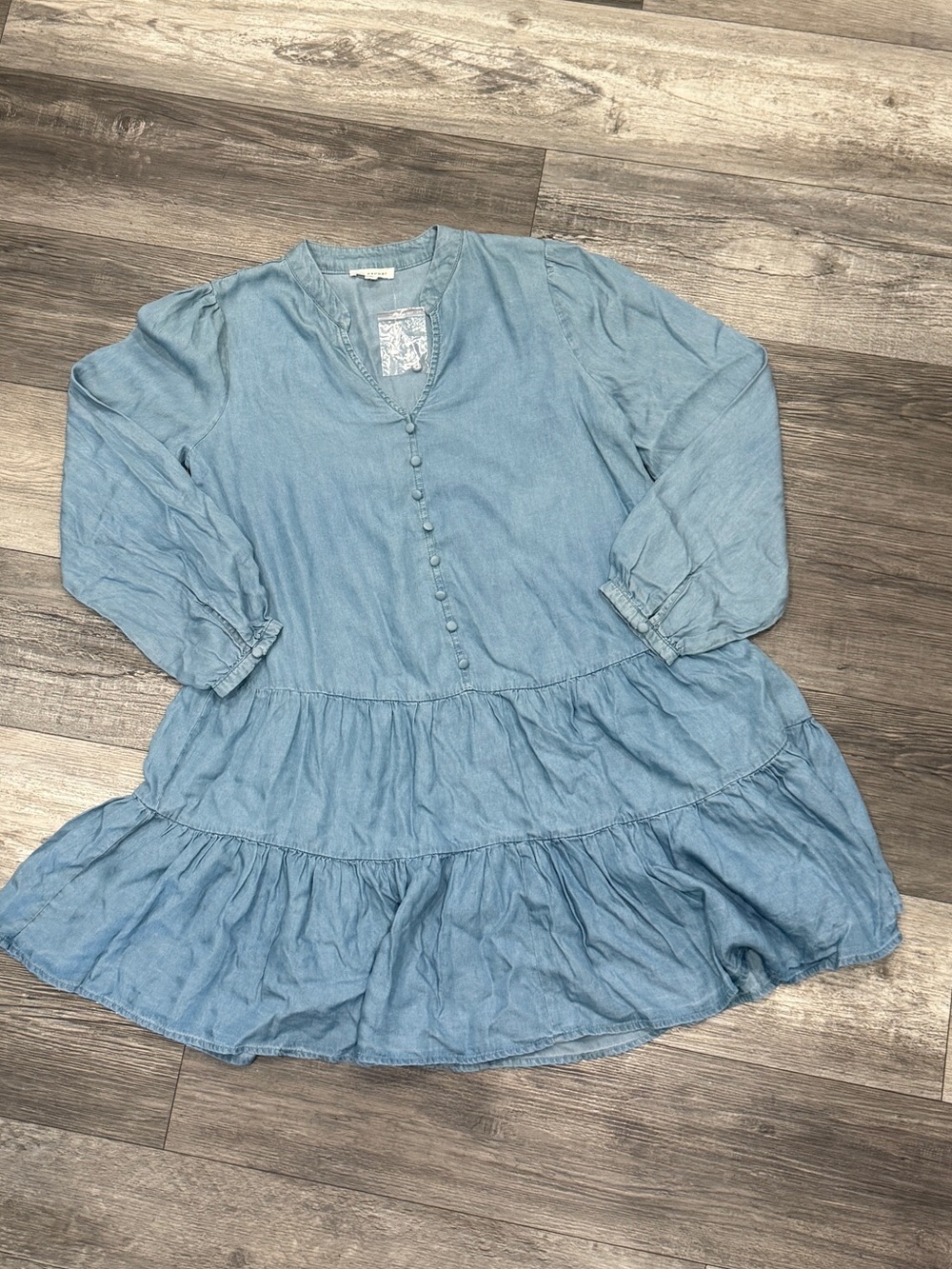 Blu Pepper Light Blue Chambray Button-Front dress